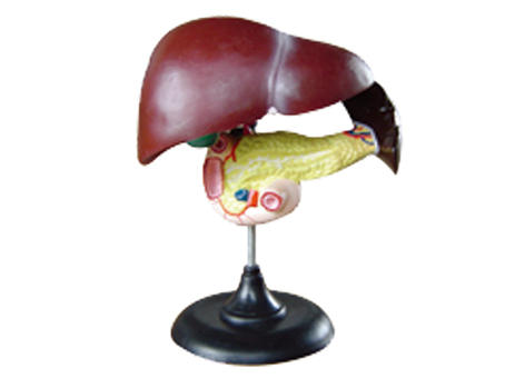 SD-093 33216ʮ֬cKģ